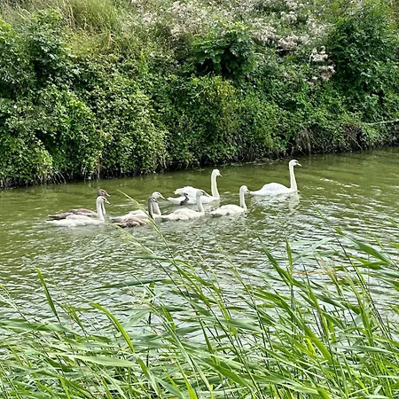 Hébergement de vacances Marais Poitevins Le Grand Sablon Ouest
