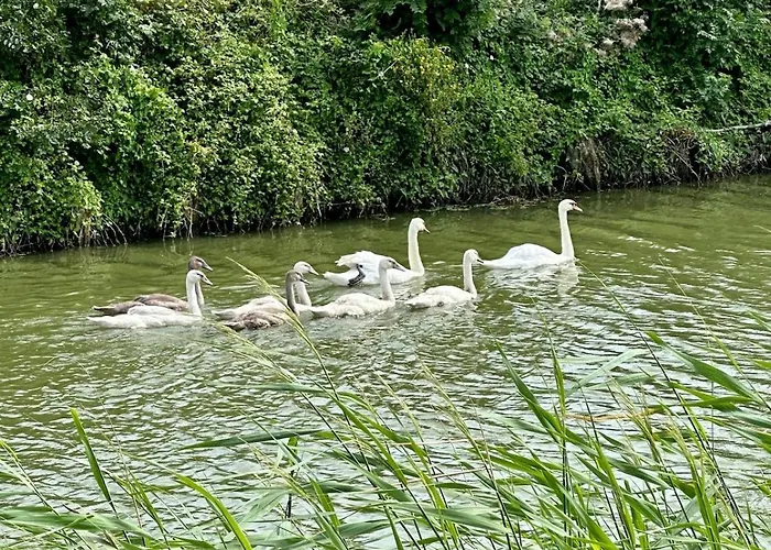 Tatil Evi Marais Poitevins Le Grand Sablon Ouest